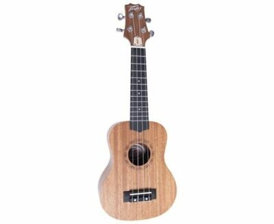 Student Ukulele Укулеле Peavey